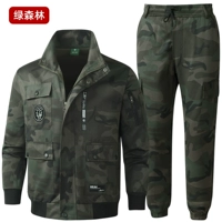 Размер зеленого леса (весенний и летний) меньше