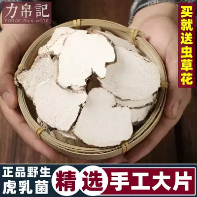 Wild tiger milk fungus 150g Malaysian Super Tiger Milk tropical tiger milk fungus chip tiger milk Ganoderma lucidum lactoderma lucidum