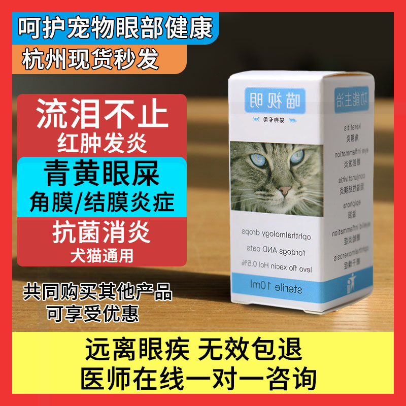 貓咪滴眼液化膿青黃眼屎貓狗通用貓咪流眼淚去淚痕去紅眼封眼