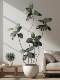 Black Diamond Rubber Tree Artificial Plant Potted Indoor Floor-Standing Fake Tree Bionic Green Plant Landscaping Home Furnishings Decoration