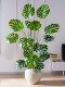 High-End Artificial Green Plant Monstera Areca Palm Indoor Potted Large Fake Tree Bionic Plant Floor-Standing Decorative Ornament