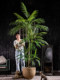 Large Artificial Palm Tree Indoor Living Room Areca Palm Bionic Green Plant Fake Tree Potted Landscaping Decoration Ornament