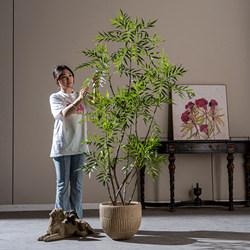 Top Ten Artificial Green Plants for Indoor Entrance, High-End Fake Tree Decoration, Potted Plants, Simulated Plants, Hotel Landscape Ornaments