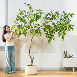 High-End Artificial Golden Banyan Tree, Large Indoor Floor-Standing Green Plant, Fake Tree for Living Room and Window Decoration, Realistic Potted Plant