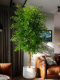Large Artificial Plant Elm Money Tree Indoor Floor-Standing Potted Plant High-End Fake Olive Tree Landscaping Decoration Ornament Green Plant