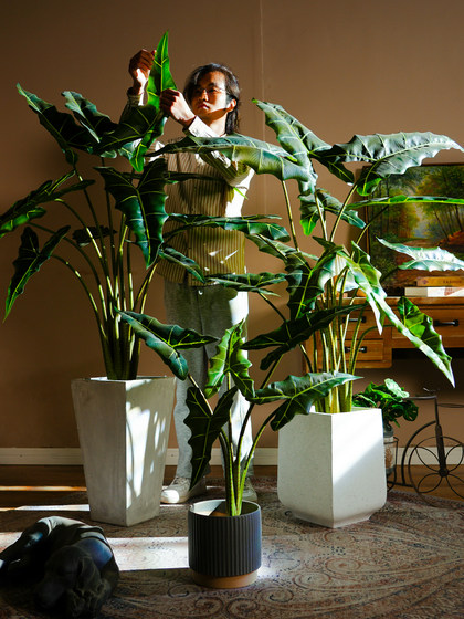New Artificial Plant Salian Calla Lily Potted Fake Tree Indoor Living Room Bionic Green Plant Landscape Decoration Ornament