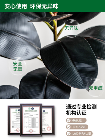High-End Black Rubber Tree Artificial Green Plant Indoor Fake Tree Potted Plant Bionic Plant Landscape Decoration Ornament