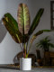Large Artificial Banana Tree Tropical Broad-Leaf Plant Bonsai Indoor Shopping Mall Simulated Green Plant Landscaping Decoration Ornament