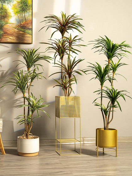 Trendy Artificial Multicolored Dragon Blood Tree Potted Plant for Living Room Plastic Flower Floor-Standing Plant Decoration Ornament