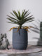 Simulated Dragon Blood Tree, Succulent Agave, Artificial Tree, Bionic Green Plant, Potted Plant, Indoor Living Room Landscaping Decoration Ornament