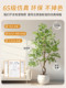 Simulated Green Plant Maple Tree Indoor Living Room Artificial Plant Potted Landscaping High-End Imitation Window Display Floor Decoration Ornament