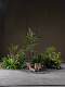Large Flower Arrangement, Simulated Grass, High-End Shopping Mall Wedding Landscaping, Floral Decorations, Plastic Fake Flowers, Floral Arrangements
