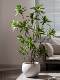 Simulated Green Plant Lily Bamboo High-End Artificial Tree Potted Plant Indoor Living Room Artificial Plant Floor-Standing Decoration Landscape Ornament