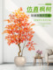 Simulated Green Plant Maple Tree Indoor Living Room Artificial Plant Potted Landscaping High-End Imitation Window Display Floor Decoration Ornament