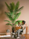 High-End Artificial Areca Palm Indoor Atmosphere Plant Potted Landscaping Fake Tree Tropical Bionic Flower Green Plant Ornament Decoration