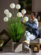 Reed Grass Artificial Flower Hydrangea Plastic Fake Flower Tree Green Plant Indoor Bionic Spherical Plant Decoration Landscaping Ornament
