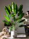 Artificial Green Plant Bird of Paradise Fake Flower Potted Plant Indoor Artificial Plant Traveler's Banana Decorative Landscaping Fake Tree Floor-Standing Ornament
