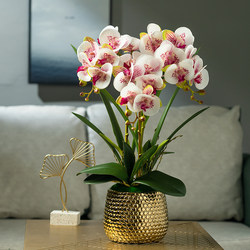 Modern Light Luxury Artificial Butterfly Orchid Dried Flowers, Faux Floral Art for Home Living Room Entrance Decoration Ornaments