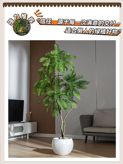 Large Jacaranda Artificial Green Plant Floor-Standing Fake Tree Indoor Living Room Decoration Ornament Bionic Plant Landscape Potted Plant
