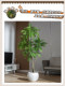 Large Jacaranda Artificial Green Plant Floor-Standing Fake Tree Indoor Living Room Decoration Ornament Bionic Plant Landscape Potted Plant