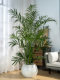 High-End Artificial Green Plant Potted Plant, Sunflower, Indoor Living Room Floor-Standing Home Large Ornament, Simulated Plant Landscaping