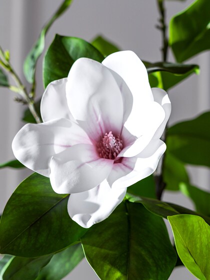 High-End Artificial Magnolia Tree, Large Green Plant, Indoor Decorative Potted Plant, Simulated Fake Plant, Floor-Standing Landscaping Ornament