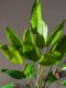 High-End Artificial Green Plant Monstera Areca Palm Indoor Potted Large Fake Tree Bionic Plant Floor-Standing Decorative Ornament