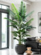 High-End Artificial Areca Palm Indoor Atmosphere Plant Potted Landscaping Fake Tree Tropical Bionic Flower Green Plant Ornament Decoration