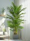 High-End Artificial Green Plant Monstera Areca Palm Indoor Potted Large Fake Tree Bionic Plant Floor-Standing Decorative Ornament