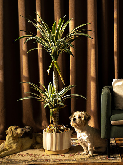 Trendy Artificial Agave Tree Fake Plant Potted Indoor Living Room Landscape Floor Decoration Green Plant Ornament Bonsai