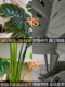 Monstera Artificial Plant Landscaping Indoor New Model Bionic Green Plant Fake Tree Potted Plant Living Room Decoration Ornament Fake Flower Tree