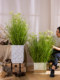New Reed Grass Artificial Flower Indoor Landscape Decoration Plant Potted Plant Bionic Green Plant Dandelion Fake Tree Ornament