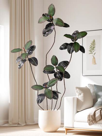 Black Diamond Rubber Tree Artificial Plant Potted Indoor Floor-Standing Fake Tree Bionic Green Plant Landscaping Home Furnishings Decoration