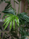 High-End Artificial Green Plant, Cycad Palm Floor-Standing Potted Plant, Landscaping Decoration, Artificial Plant, Living Room Ornamental Plant, Fake Tree