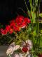 Large Flower Arrangement, Simulated Grass, High-End Shopping Mall Wedding Landscaping, Floral Decorations, Plastic Fake Flowers, Floral Arrangements