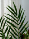 High-End Artificial Green Plant Potted Plant, Sunflower, Indoor Living Room Floor-Standing Home Large Ornament, Simulated Plant Landscaping