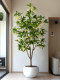 Simulated green plant, water stone ficus, large ornaments for landscaping, indoor bionic plants, fake flower trees, potted plants, living room floor decoration