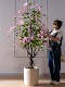 Artificial Plant Hanging Jasmine Fake Green Plant Indoor Living Room High-End Floor-Standing Potted Plant Decoration Biomimetic Ornament