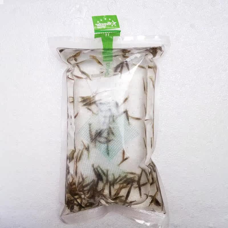 Grass tank black shell shrimp live package Algae removal shrimp Freshwater ornamental shrimp Grass tank cleaning shrimp Landscaping tank Algae removal tool shrimp