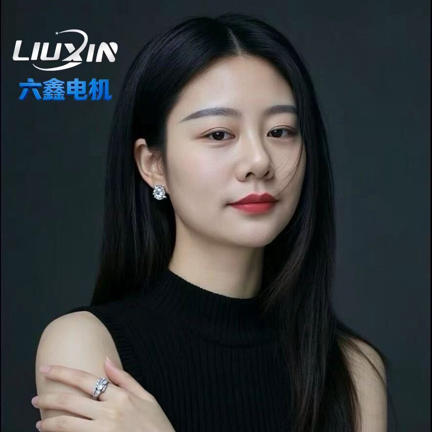 LIUXIN六鑫电机 专注品质的LOGO
