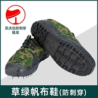 Антипонтуру · Трава с низким вершиной [Отправить стельки + носки]