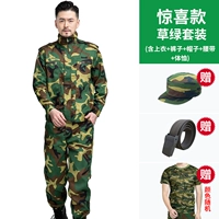 Комплект, шапка, ремень, футболка