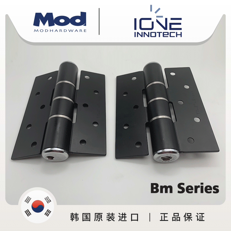 South Korea imported IONE invisible door hinge automatic closing door closer Hydraulic buffer damping spring secret door self-closing