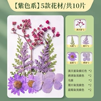 [Сухой цветок] 1 мешок с пурпурным/10 таблетками (1 Гардендия)