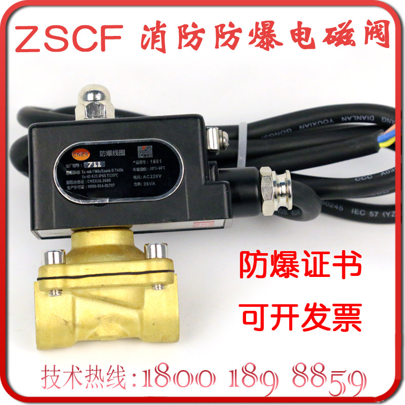 ZSCF-15 explosion protection solenoid valve DN15 rain shower valve solenoid valve Dc24V explosion-proof solenoid valve BT4 walk water