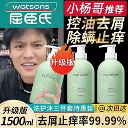 ແຊມພູ Watsons ພິເສດສໍາລັບເດັກນ້ອຍ, ເດັກຊາຍແລະເດັກຍິງ, ຕ້ານ dandruff ແລະຕ້ານອາການຄັນຂອງແທ້ຍີ່ຫໍ້ຢ່າງເປັນທາງການ