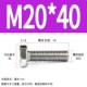 M20*40 (5)