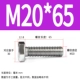 M20*65 (5)