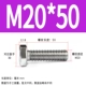M20*50 (5)