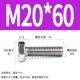 M20*60 (5)